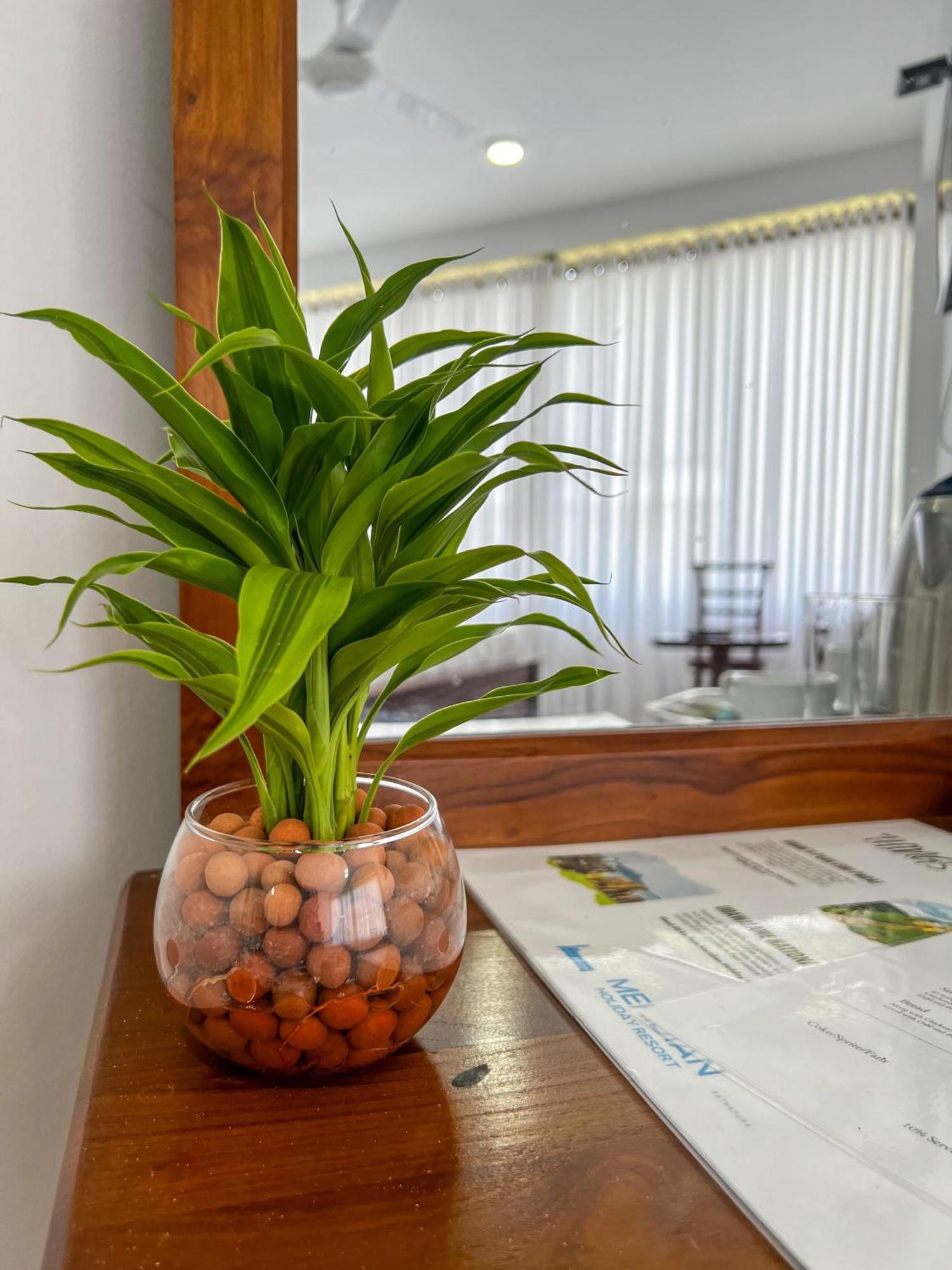 Meridian Holiday Resort Ratnapura Ngoại thất bức ảnh